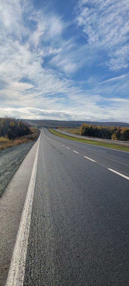 Road surface photographed looking forward — low receiver grazing angle, dark appearance